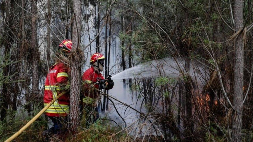 Firefighters douse a forest fire in Gaeiras, Marinha Grande, central Portugal 16/10/2017