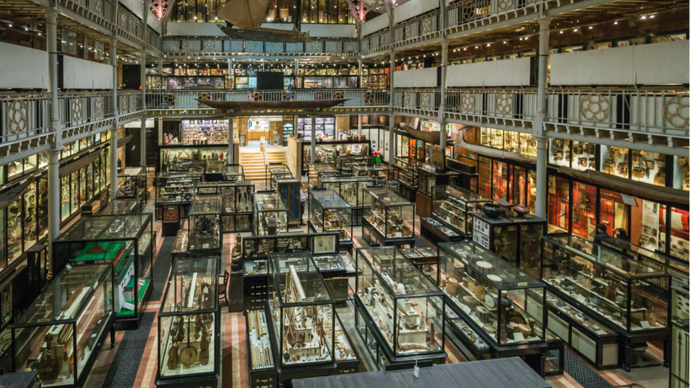 Pitt Rivers