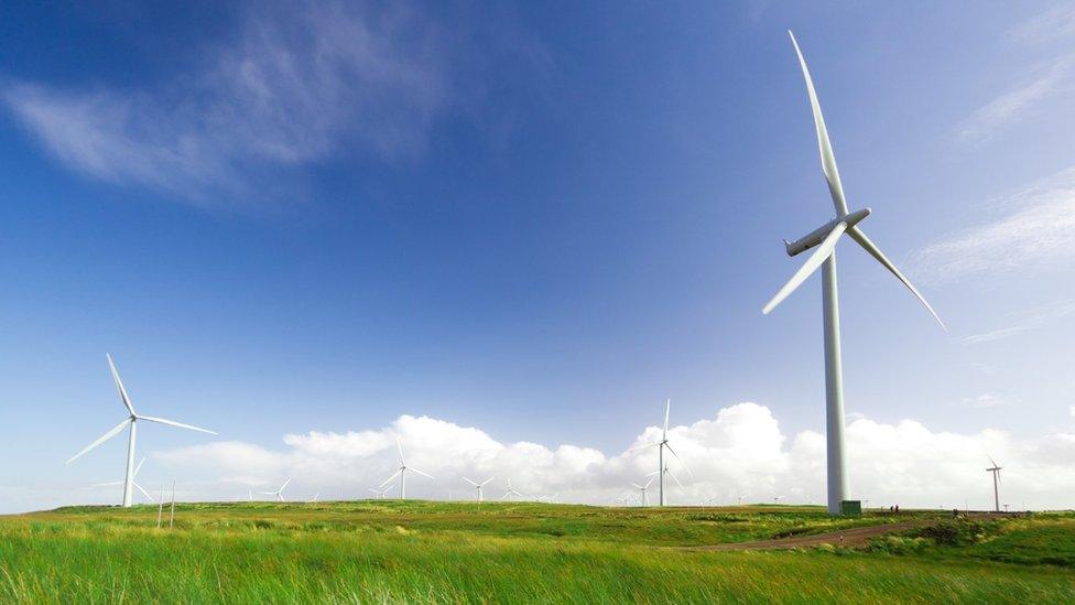 Whitelee Wind Farm