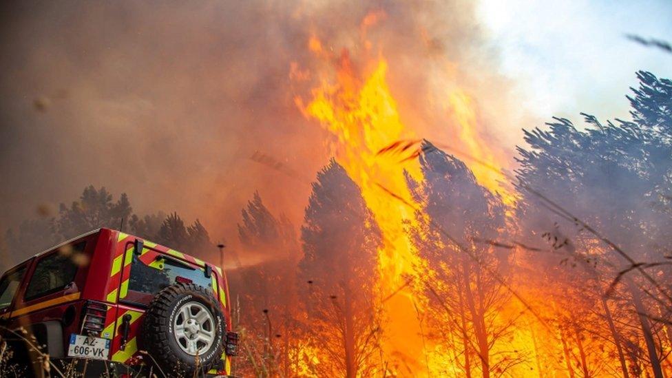 wildfires-and-fire-vehicle.