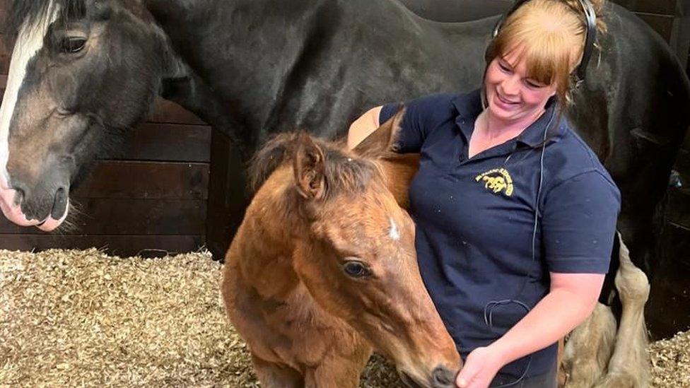 Sammy, Jess Westwood and a foal