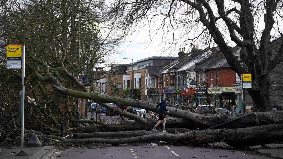 A fallen tree blocking a road in Isleworth, London