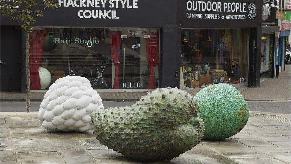 Veronica Ryan's Custard Apple (Annonaceae), Breadfruit (Moraceae), and Soursop (Annonaceae), 2021