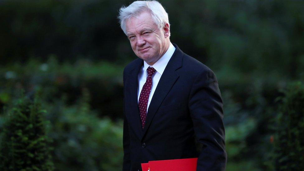 David Davis, Secretary of State for Exiting the European Union