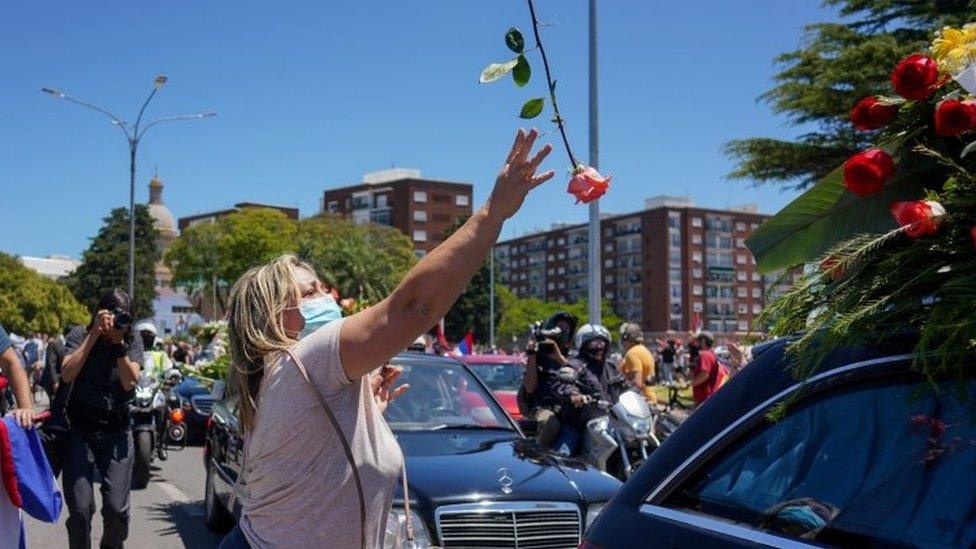 A woman throws a rose at a funeral procession for Uruguayan former President Tabare Vazquez in Montevideo, Uruguay December 6, 2020.