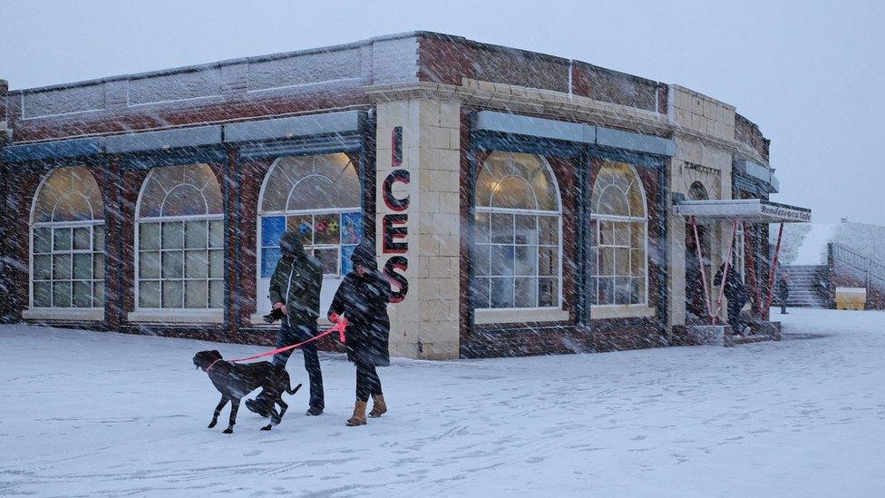 Dog walkers in Whitley Bay brave snow conditions on 21 January 2018