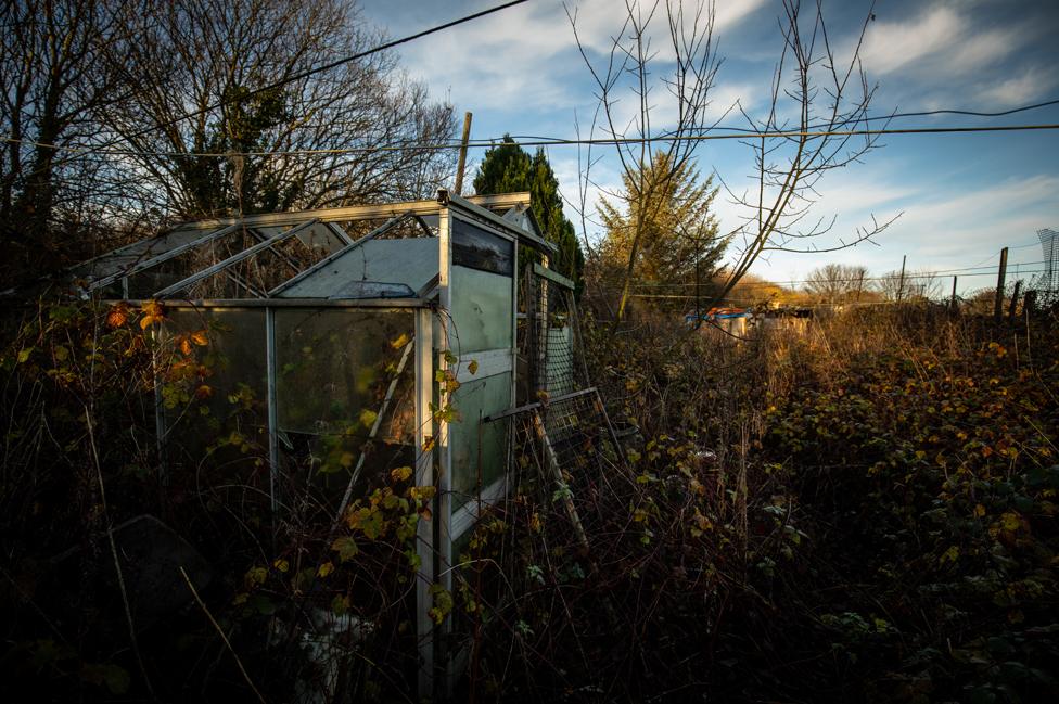 Greenhouses on the allotment