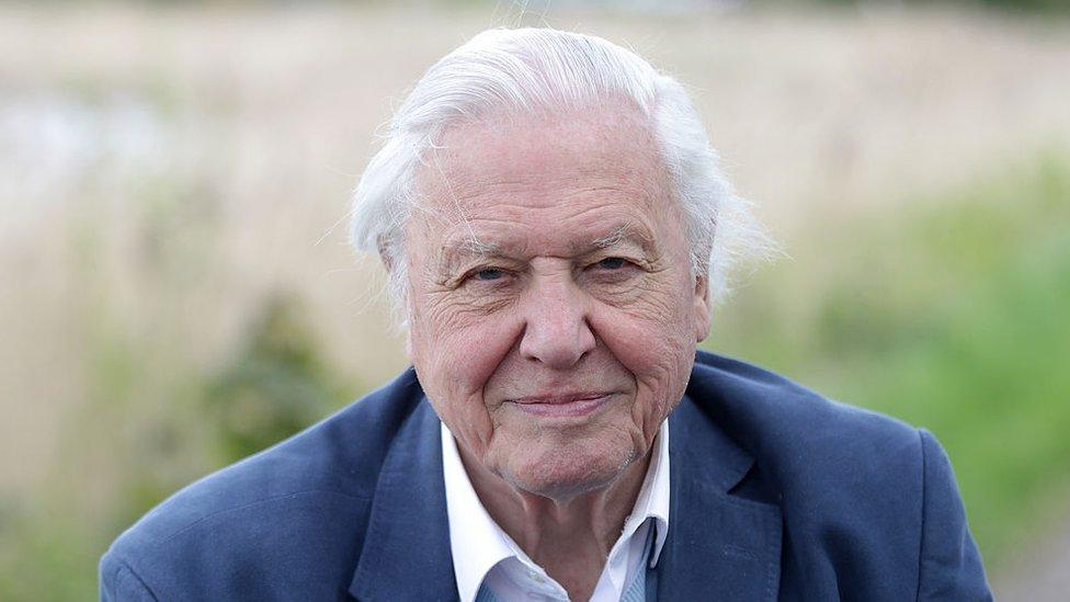 sir-david-attenborough.