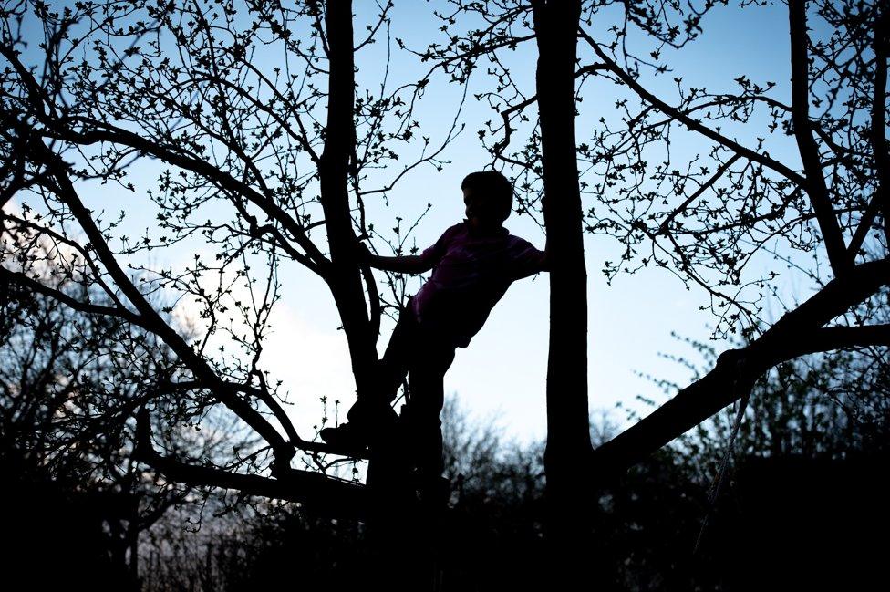 Child in a tree