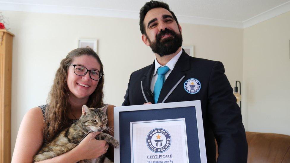 loudest-cat-purr-certificate.