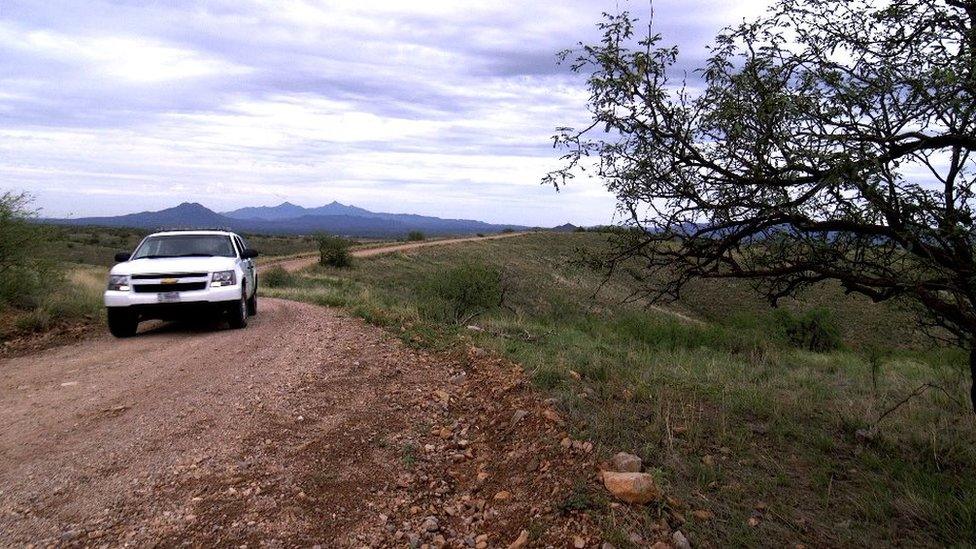 Vehicle surveillance system