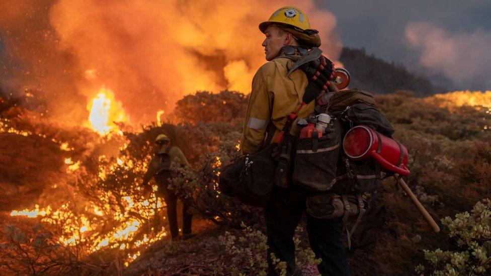 Firefighters at the Caldor fire