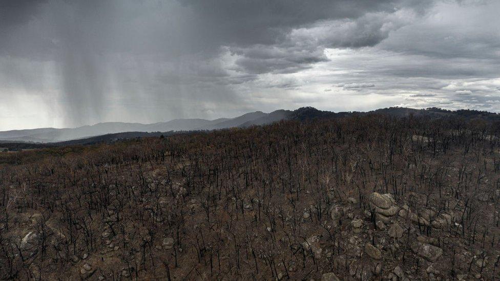 Storm-approaches-Tamworth-Australia.