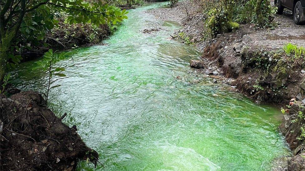 A photo of the river