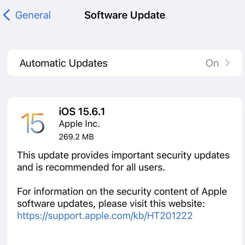 A screenshot of the system update screen on iPhone