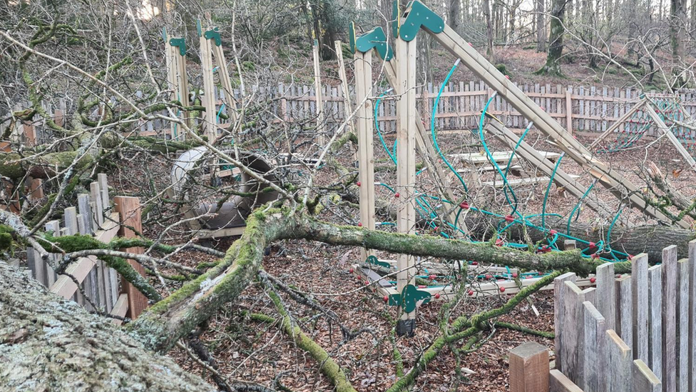 Trees toppled onto children's play park