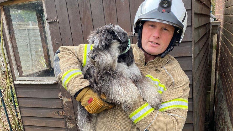 A firefighter with Todd the puppy