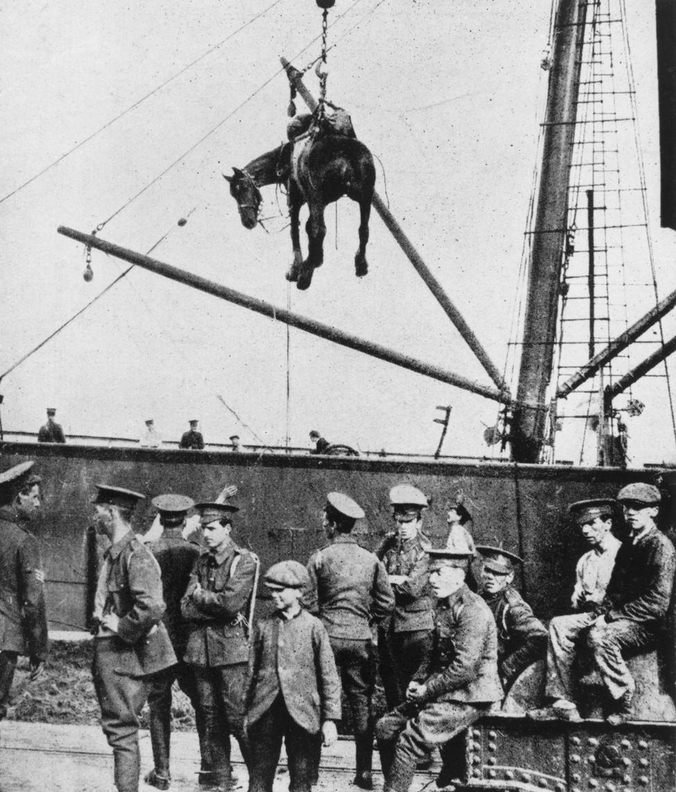 A horse is landed from a British military transport ship at Boulogne, France, during World War I, August 1914