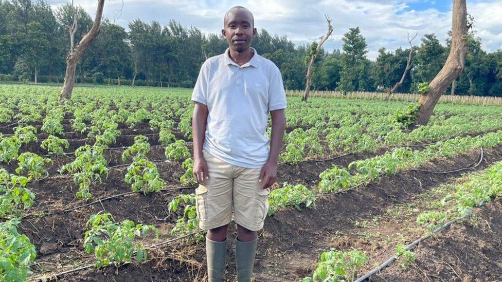 Tomato farmer Lossim Lazzaro standing in front of crops