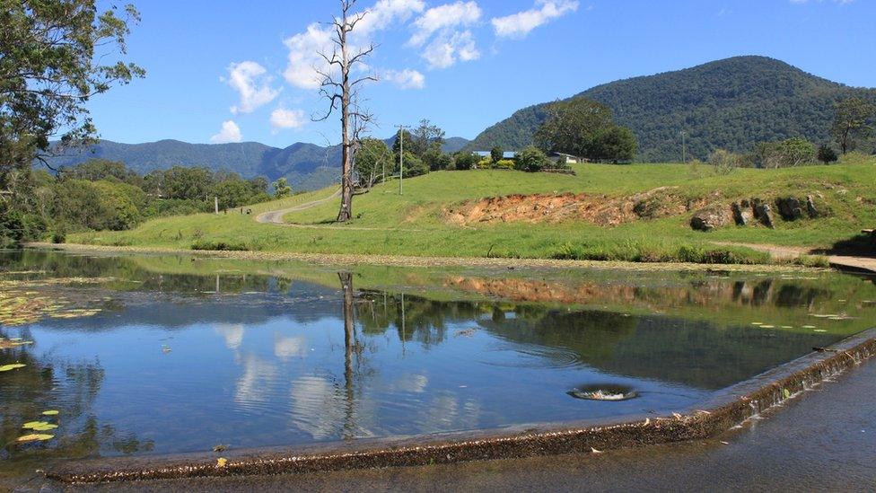 Landscape around Tyalgum