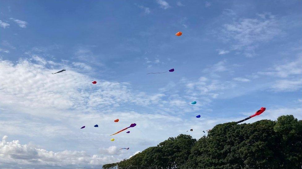 A far picture showing kites