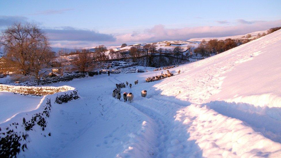 Snowy scene in Askrigg