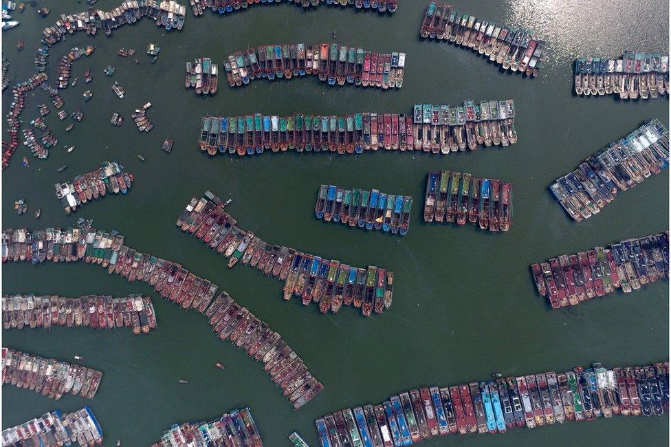 Aerial shot of fishing boats parked in a port as Typhoon Nida approaches Guangzhou, 1 August 2016.