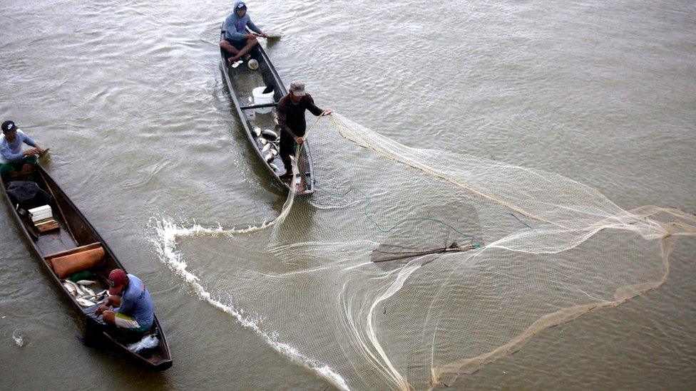 Filipino fishermen catch fish in floodwater in the typhoon-hit town of Candaba, Pamganga province, Philippines, 16 October 2016.