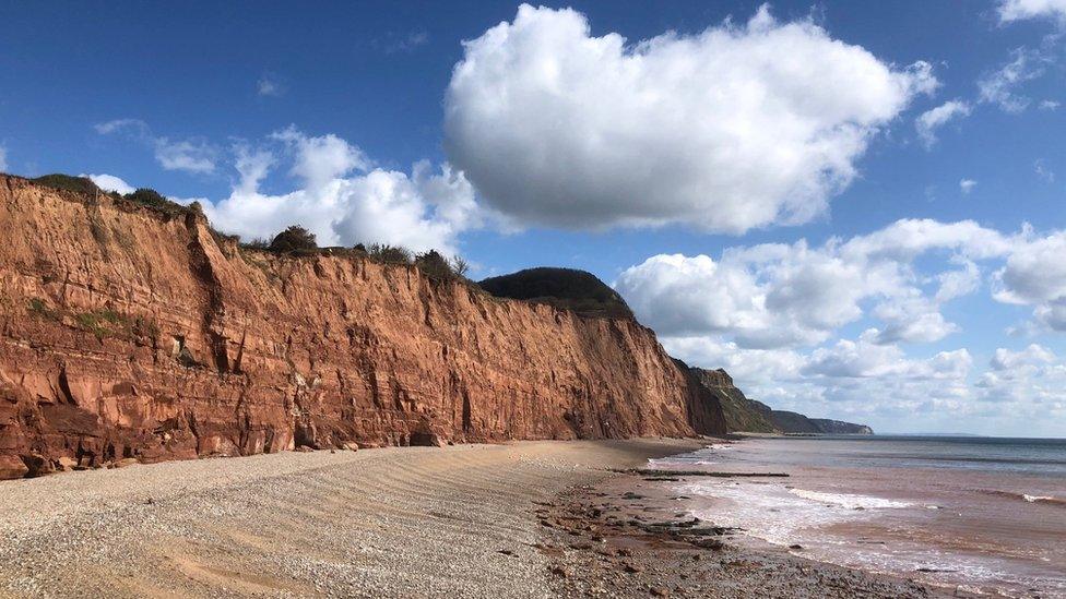 Coast at Sidmouth