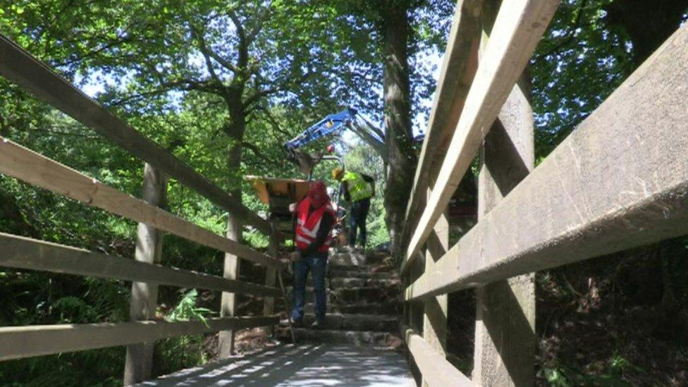 Woodland Trust staff working on walkway