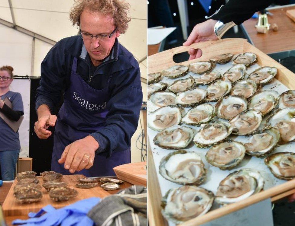 Man preparing oysters and oysters