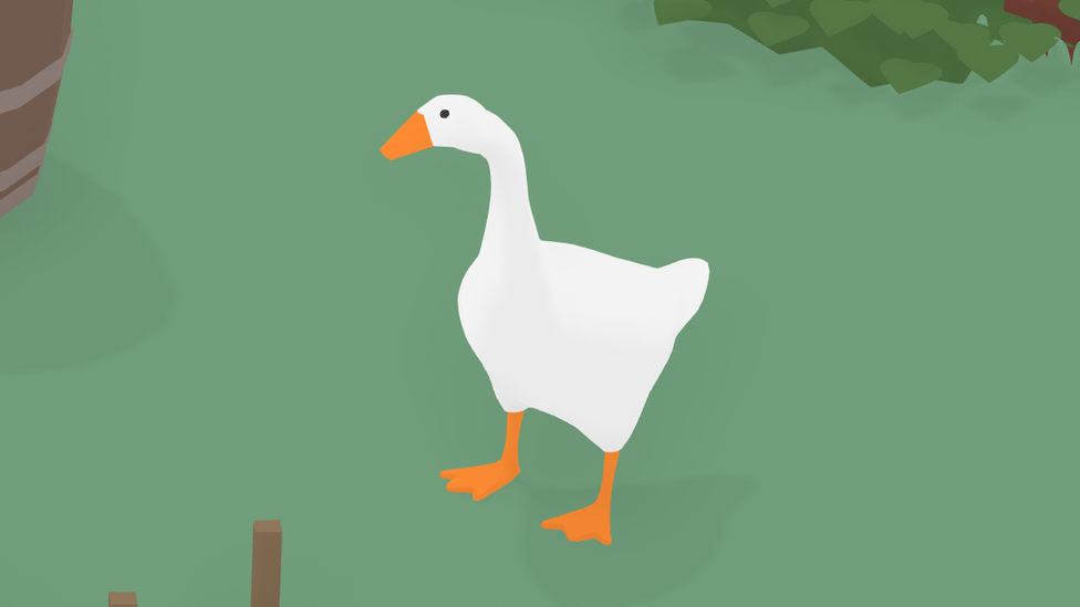 A goose