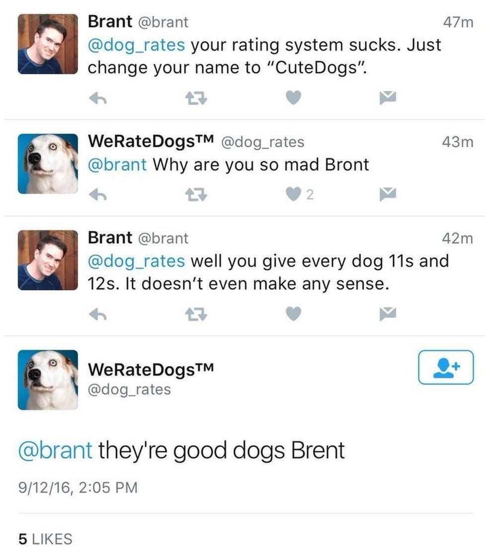 They're good dogs, Brent