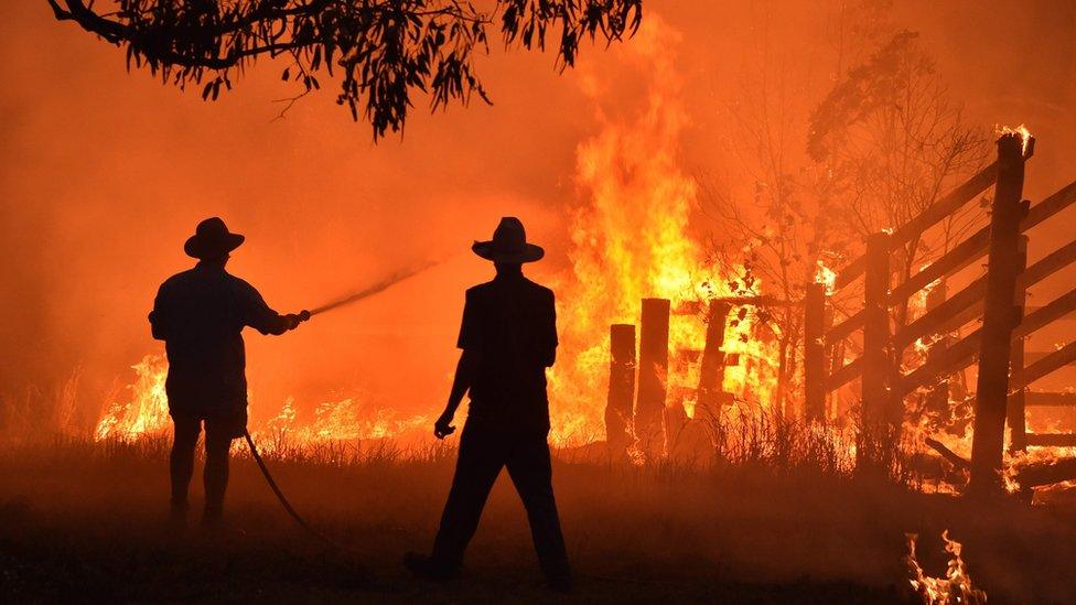 Silhouettes of two people fighting a wall of fire