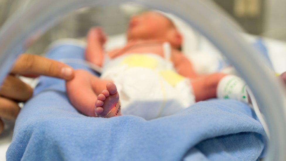 Premature baby in an incubator