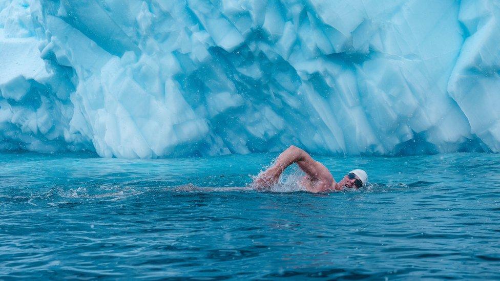 Lewis Pugh swimming in icy waters