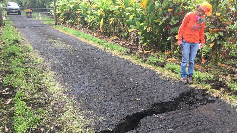 A geologist inspects a crack in the road.