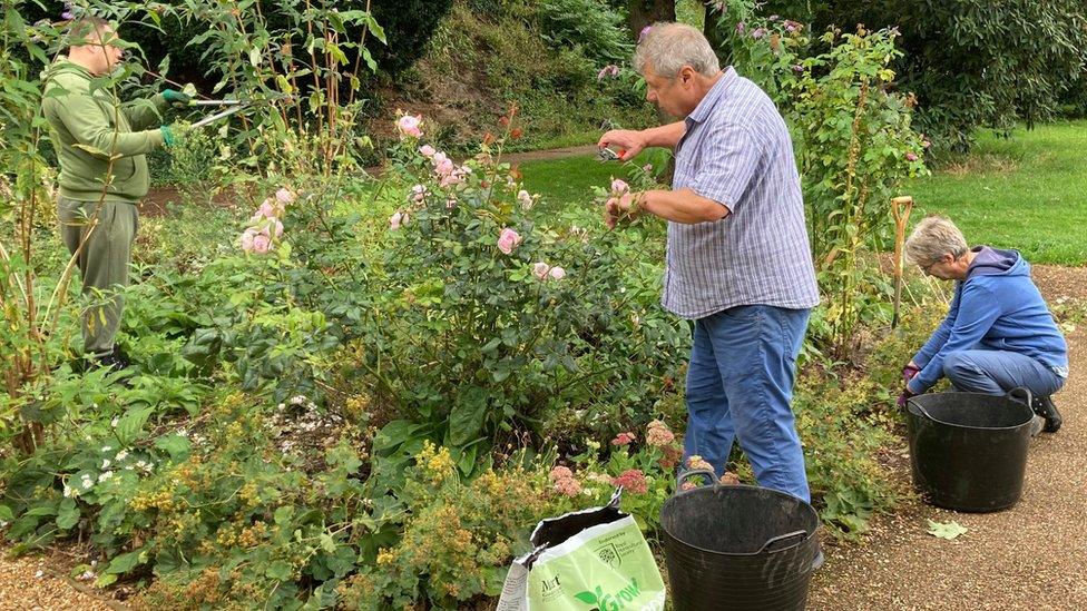 Three volunteers gardening at The Higgins, Bedford