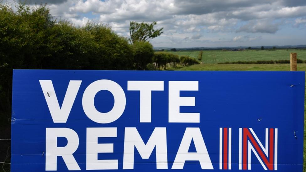 Remain sign