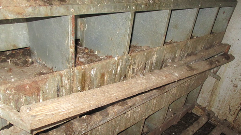 Dirty laying boxes at Anthony Curtis' farm