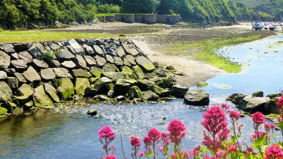 This view of Solva Harbour was taken by Katherine Pritchard from Swansea.