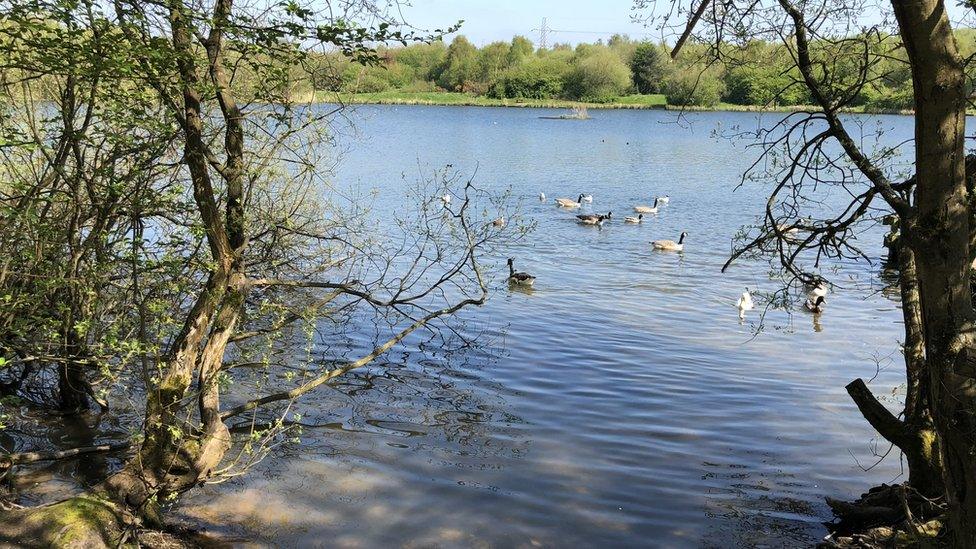 Blackleach Country Park