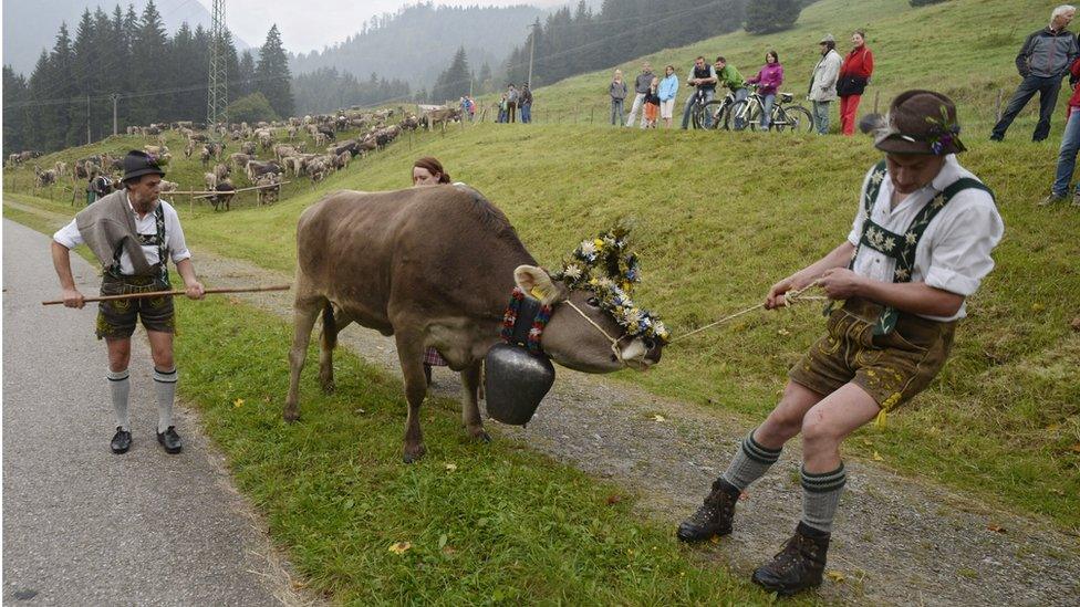 Lederhosen