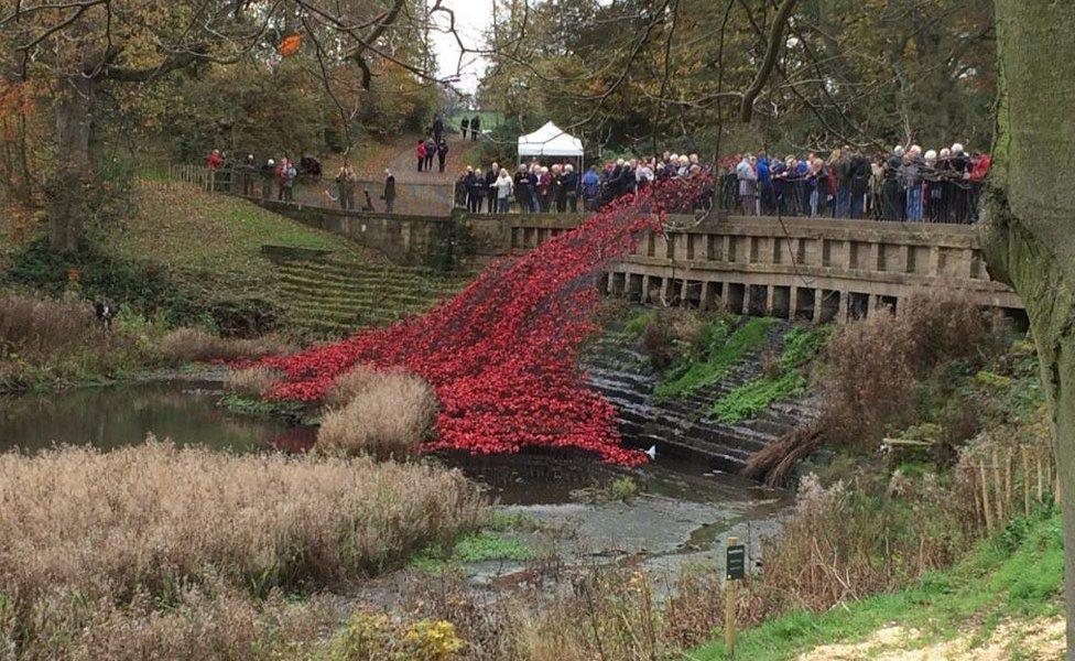 Poppies at Yorkshire Sculpture Park