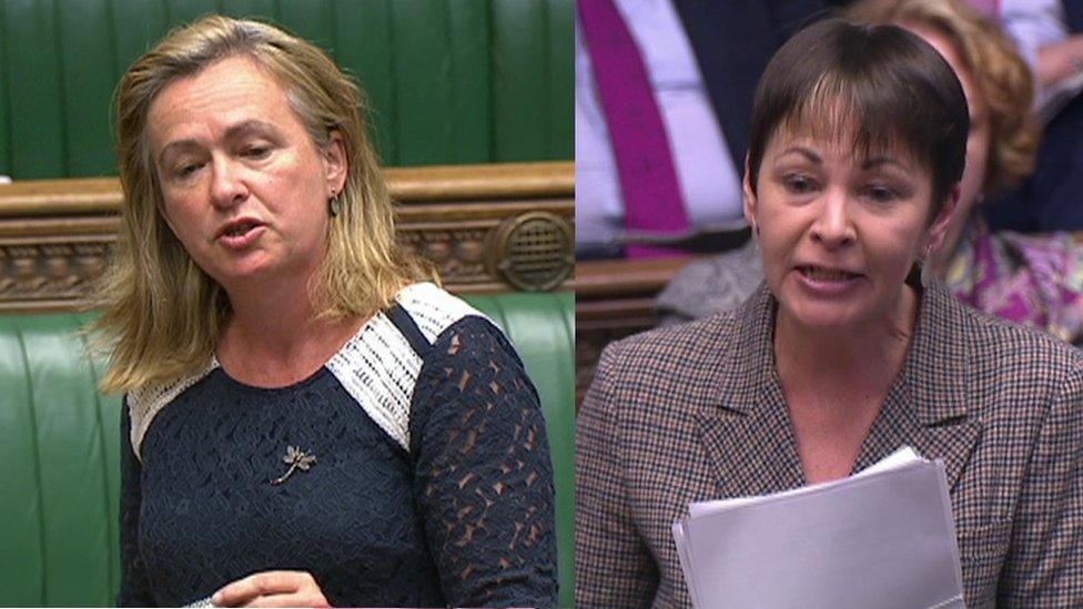 Liz Saville Roberts and Caroline Lucas