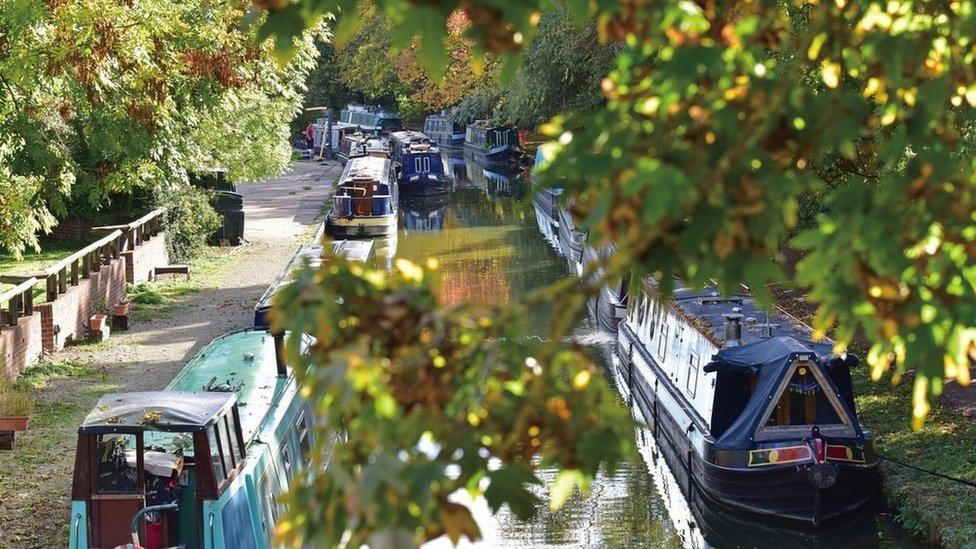 Jericho by the Canal