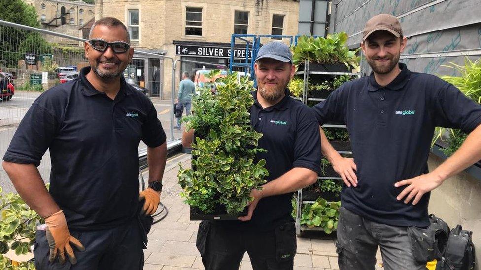 Men about to put plants in place