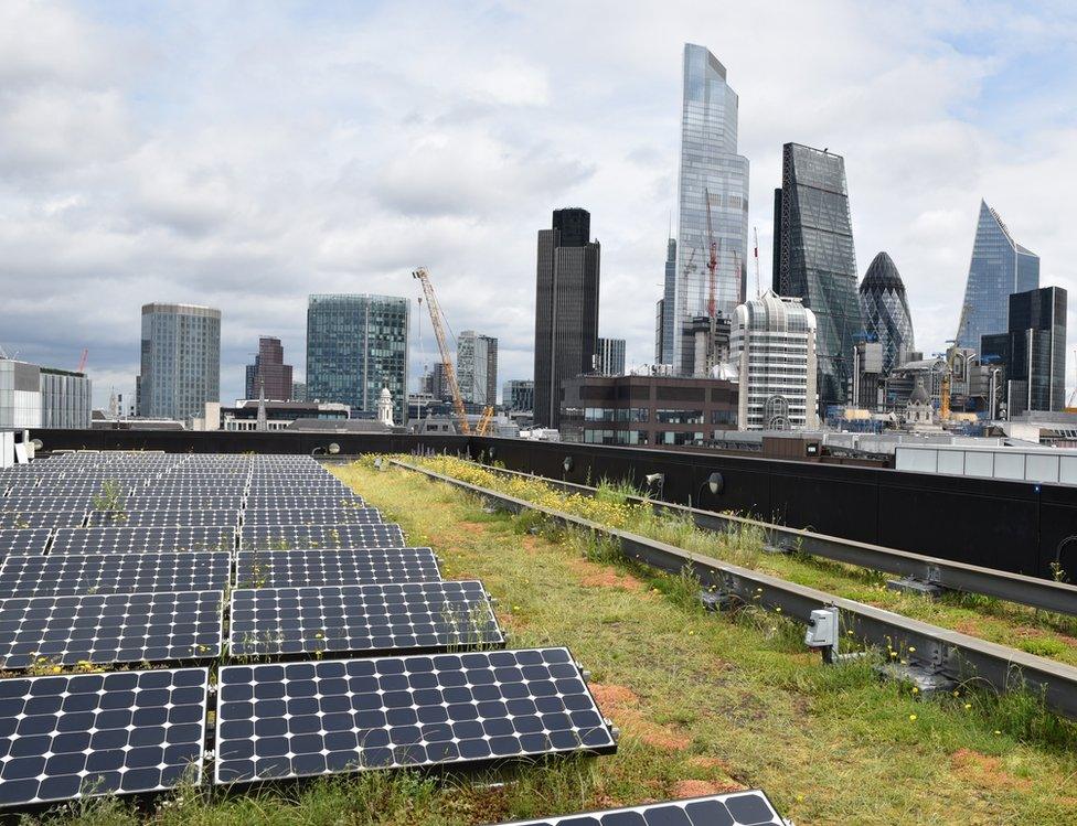 Rooftop garden in the foreground, London skyline in the background