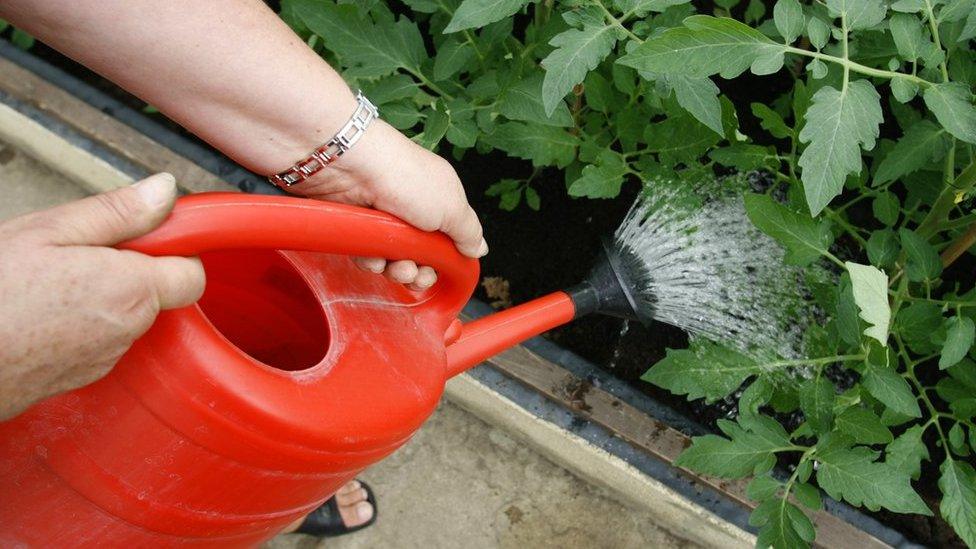 Hand holding watering can in garden