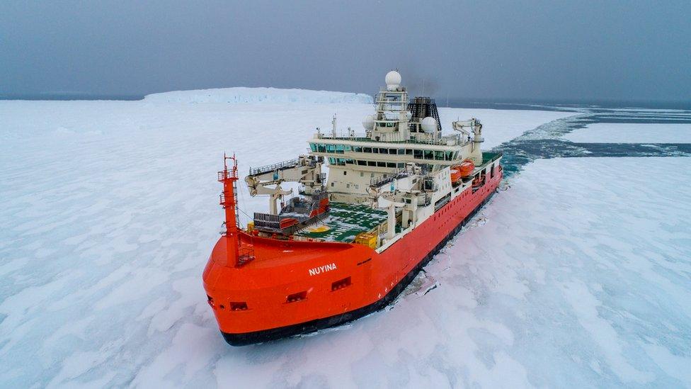 Australia's icebreaker RSV Nuyina